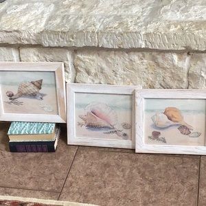 🐚 3 Original Caribbean Shells Beach Watercolor Framed Prints 🐚
